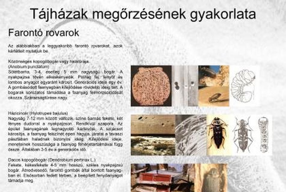 Tájházak megőrzésének gyakorlata a Skanzenben