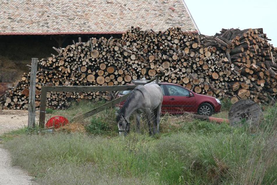 Galgahéviz, ökofalu