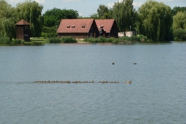 helyszíni fotó, Sónicz Péter