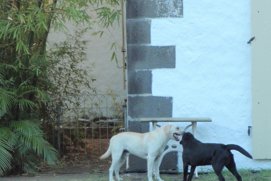 Moulin Casse, Mauritius. Vezető tervező: Geoffrey Bawa, fotó: Sánta Gábor.