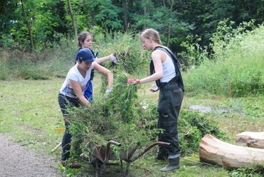 BME Urbanisztika Tanszék építőtábor, Bernecebaráti 2011