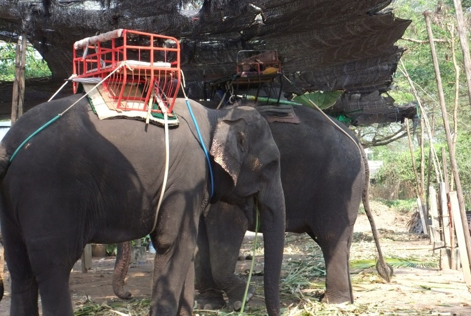 Mahout village - fotó. Sánta Gábor