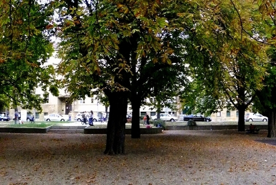 A park kapcsolata a környező épületekkel