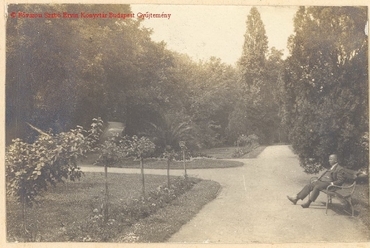 1919, Forrás: Fővárosi Szabó Ervin Könyvtár, Budapest Gyűjtemény fotótára