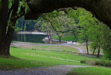 Károlyi-kastély park - fotó: Északerdő Zrt.