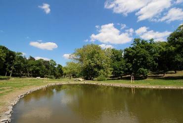 Károlyi-kastély park - fotó: Északerdő Zrt.