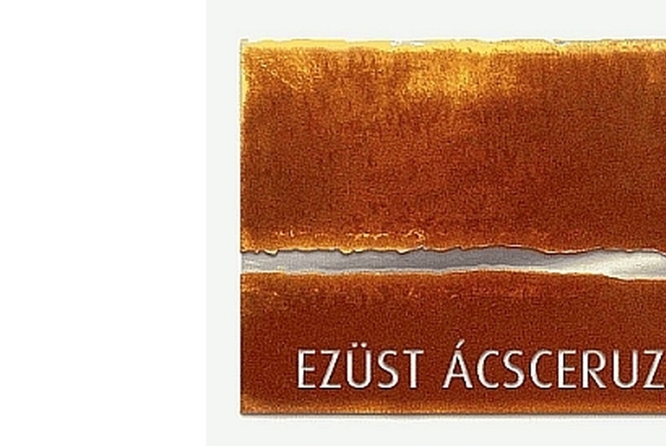 Ezüst Ácsceruza Díj 2015 átadó