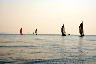 10. Építész Regatta - fotó: Noll Tamás