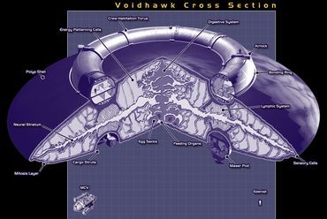 Biomechanoid űrhajó, Peter F. Hamilton regénye nyomán