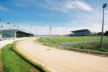 Galway, Rögbi- és agárstadion