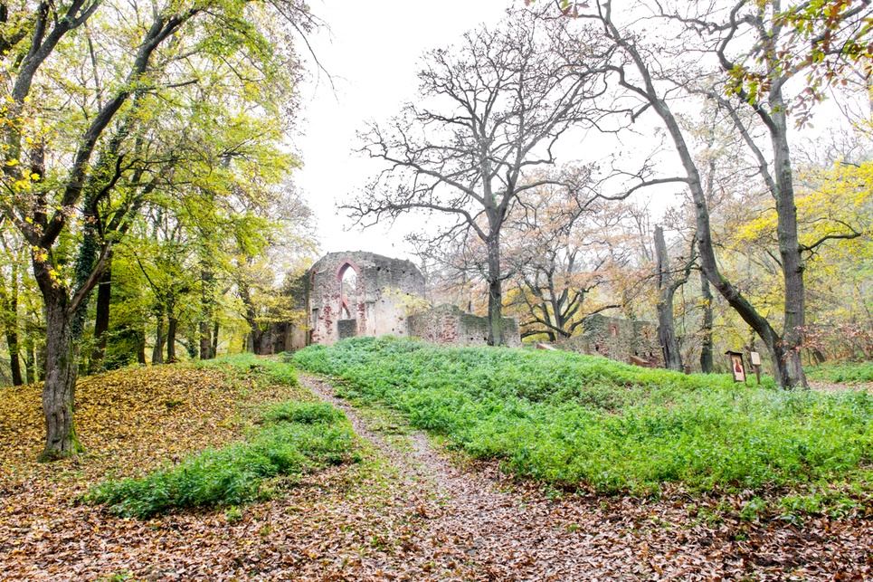 A salföldi pálos kolostor – Forrás: palos.hangtaj.mome.hu