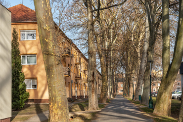 A városrész jellemző látképéhez tartoznak az impozáns platánsorok, amelyek kisebb sétányokat és két sávos utcákat egyaránt szegélyeznek.