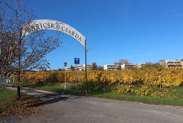 Baricska társas üdülőtelep / Fotó: Wettstein Domonkos