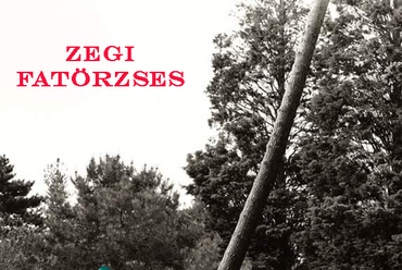 ZEGI FATÖRZSES. workshopvezetők: Bögös András, Dancs Tamás, Zilahi Péter