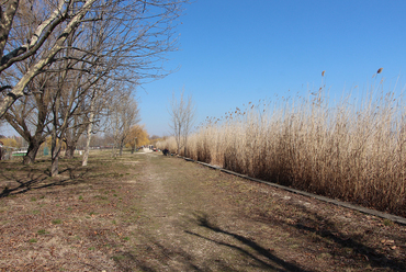 Balatonalmádi, a Lottótelep előtti vízpart / Fotó: Wettstein Domonkos