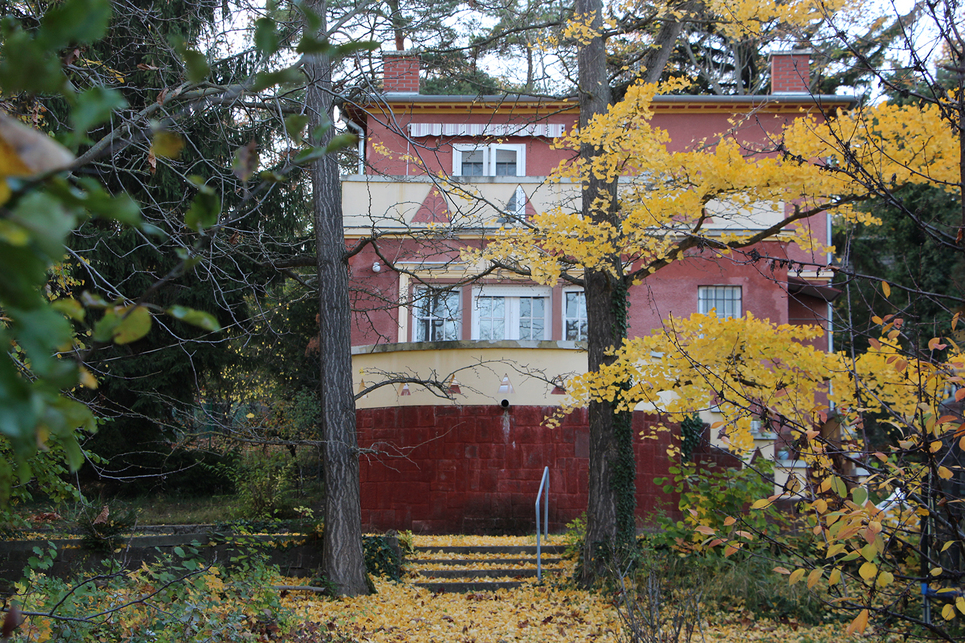 Balatonszepezd, Víriusz-telep / Fotó: Wettstein Domonkos