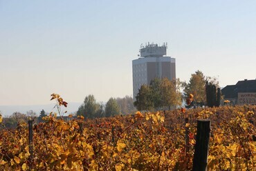 Balatonfüred / Fotó: Wettstein Domonkos