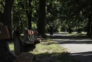 Séta a népligetben. Fotó: Hajdu Szása