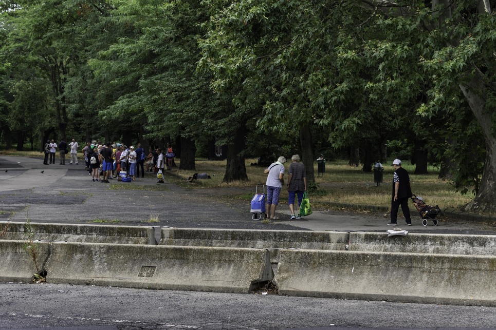 Séta a népligetben. Fotó: Hajdu Szása