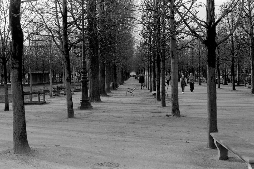 Dérive a Jardin des Tuileries-ben. Fotó: Klaniczay János, 2024.
