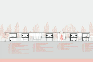 Hosszmetszet. Erdőkert – Tangazdaság Kiskőrösön. Zsupos Zoltán diplomaterve. 2024.

