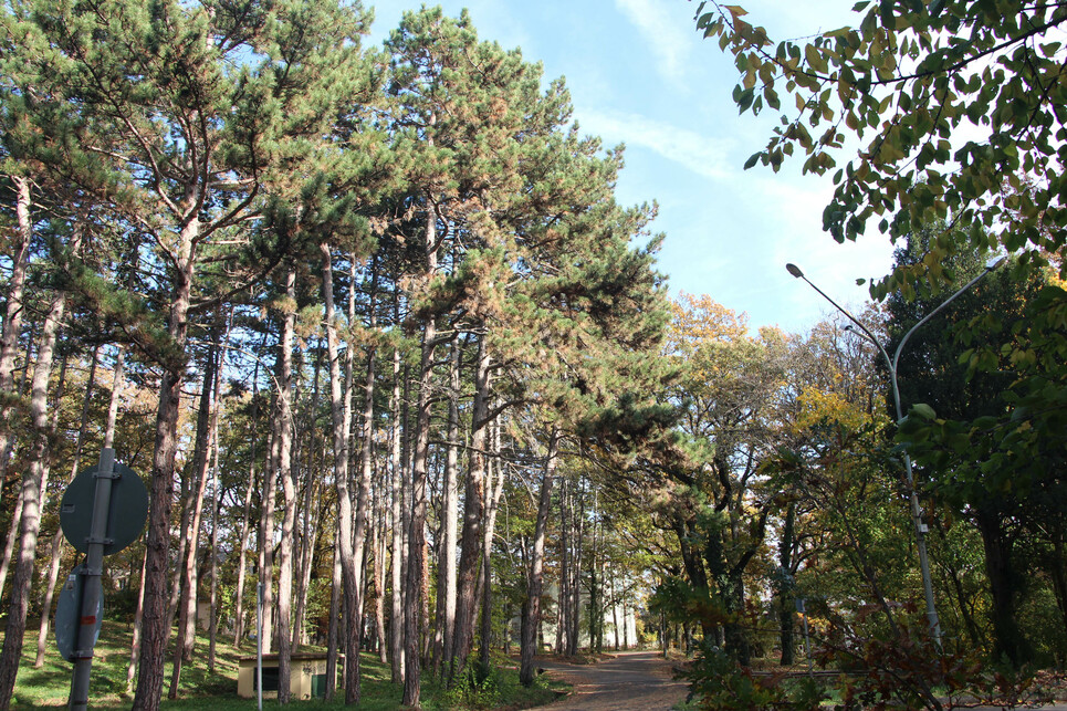 Balatonfűzfő, gyári lakótelep. Fotó Wettstein Domonkos
