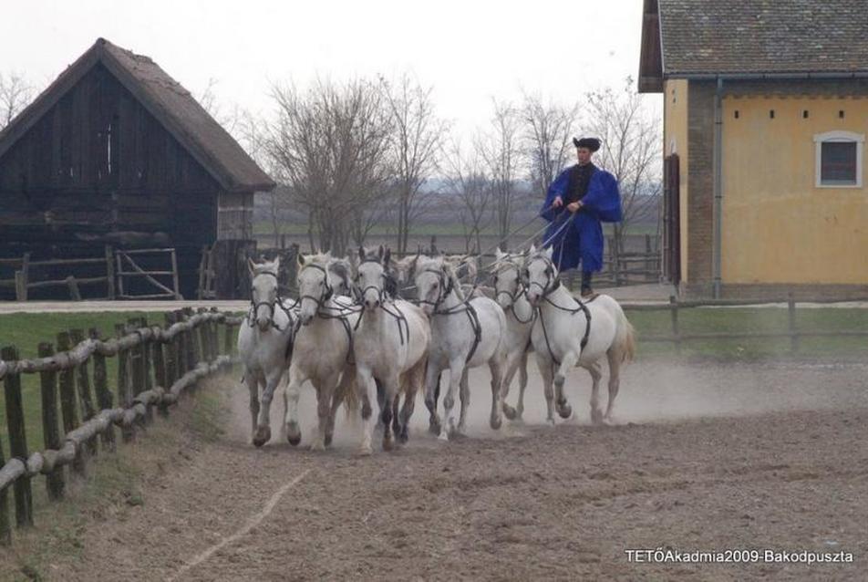 Bakodpuszta