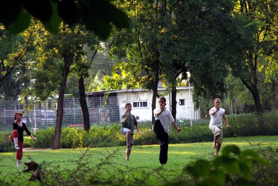 taj csi a szigeten, fotó: Bardóczi Sándor