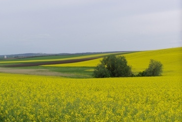 Zarándokszállás Mányon, helyszín - Lang Zoltán