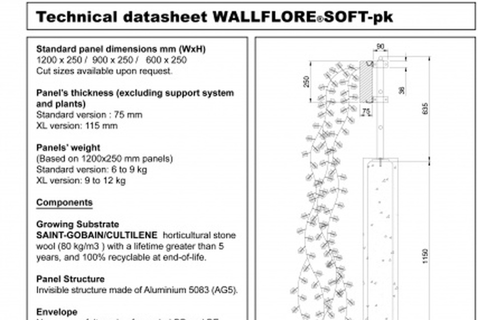 Wallflore Soft-pk