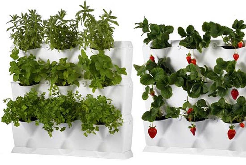 Minigarden - mini-garden.com