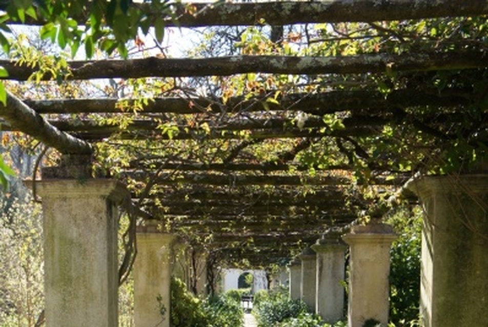 Pergola, Rustenberg  - fotó: Bardóczi Sándor