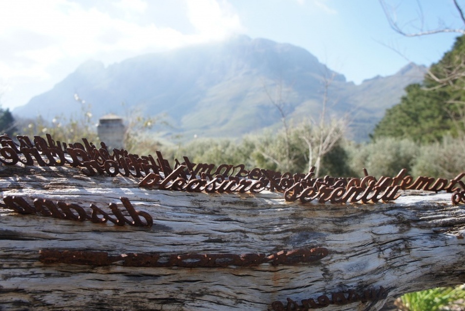 Recyling art, Tokara  - fotó: Bardóczi Sándor