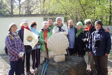 Kalocsai zarándok kagyló