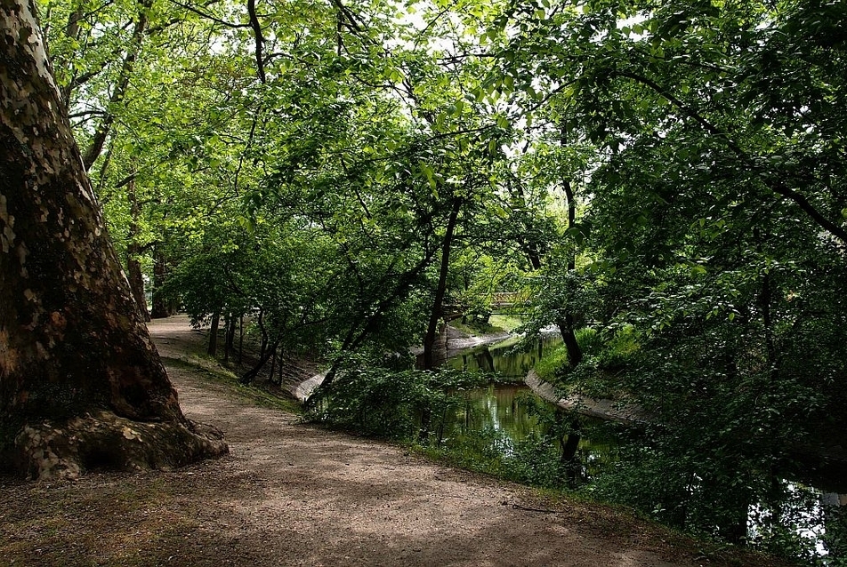 A Levegő Munkacsoport közleménye - petíció a Városliget megvédéséért