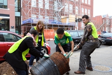 Million Tree Project, New York. Forrás: www.caseytrees.org