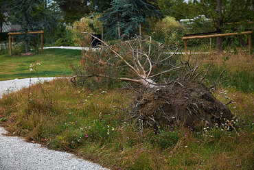 Novo Nordisk Nature Park, Bagsværd. Fotó: Torben Petersen & SLA Architects