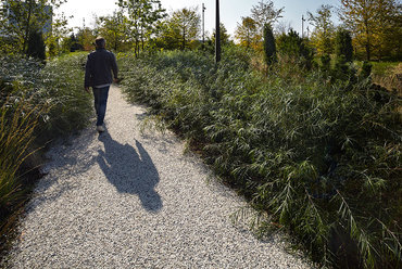 Novo Nordisk Nature Park, Bagsværd. Fotó: Torben Petersen & SLA Architects