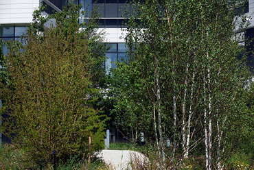 Novo Nordisk Nature Park, Bagsværd. Fotó: Torben Petersen & SLA Architects