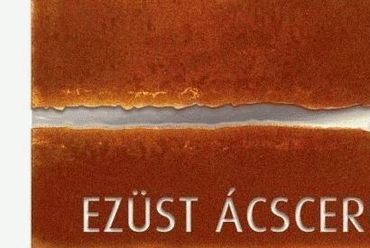 Ezüst Ácsceruza-díj - forrás: meszorg.hu