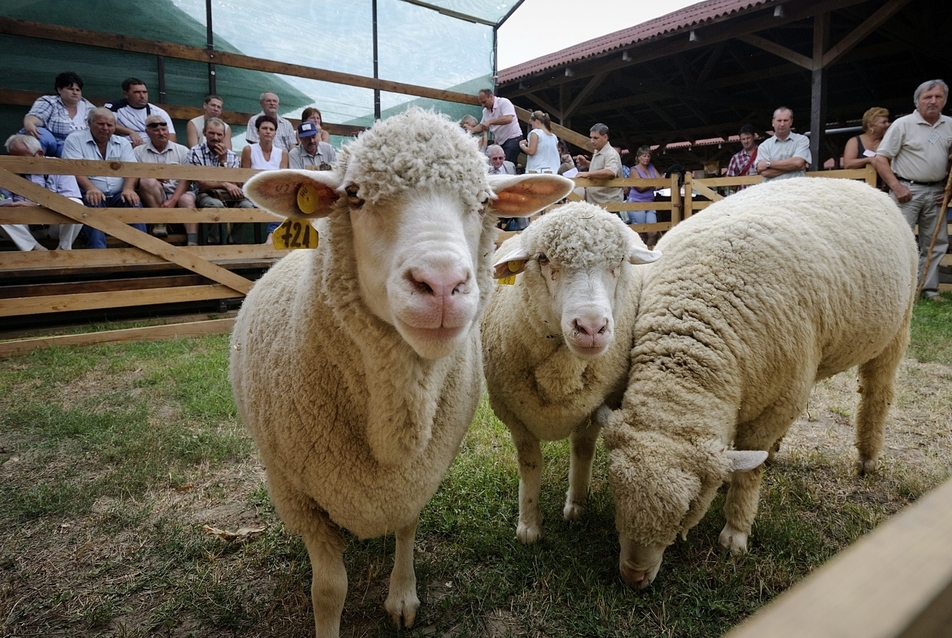 Farmer Expo - forrás: pspc.hu