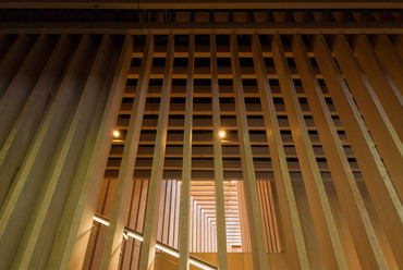 Audain Art Museum, Whistler, Kanada - építész: Patkau Architects - fotó: James Dow