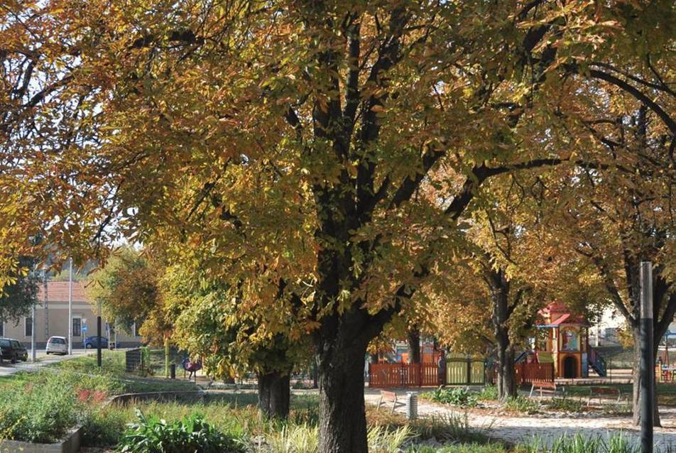 Budafok, Szent István tér Fotó: Járókelő.hu