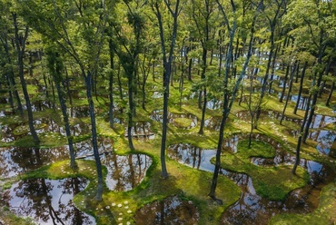 Art Biotop Water Garden. Építész: Junya Ishigami. Fotó: nikissimo Inc