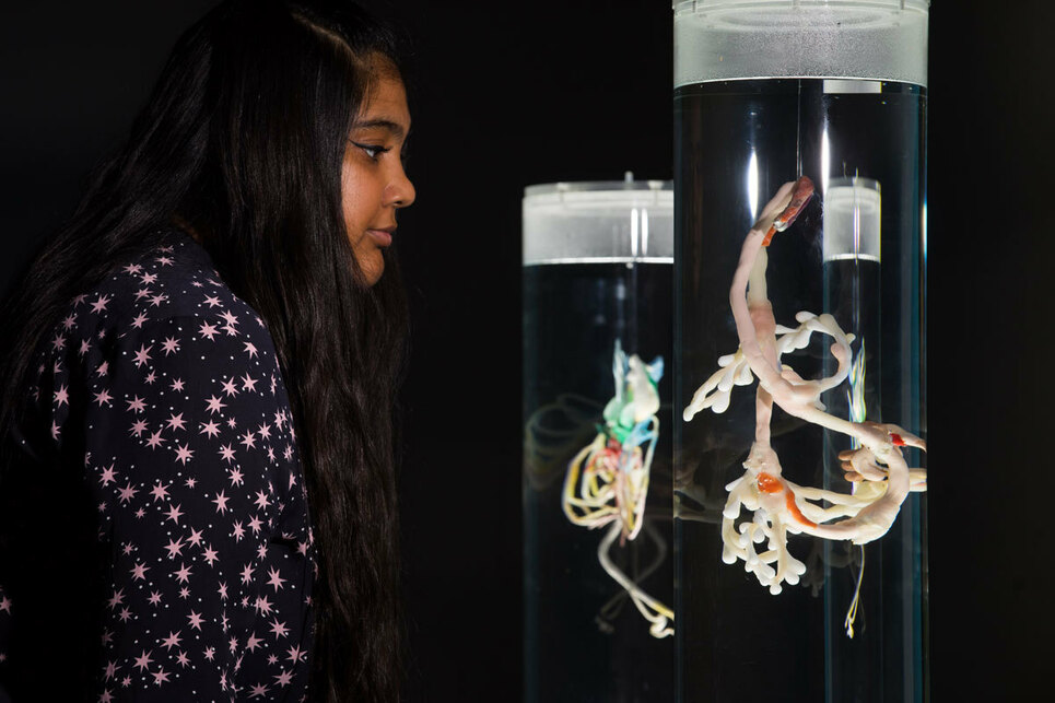 Pinar Yoldas: Plastoceptor and Stomaximus – Installation view, Eco-Visionaries: Confronting a planet in a state of emergency, Royal Academy of Arts, London – Photo: © Royal Academy of Arts, London / David Parry.