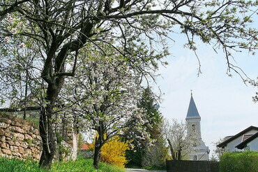 Paloznak – Forrás: balaton.hu