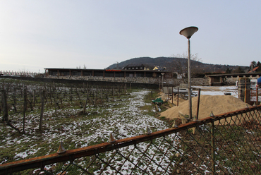 Badacsony, Szőlőskert étterem (tervezők: Emődy Attila és Bottka Mária) / fotó: Wettstein Domonkos, 2021. január