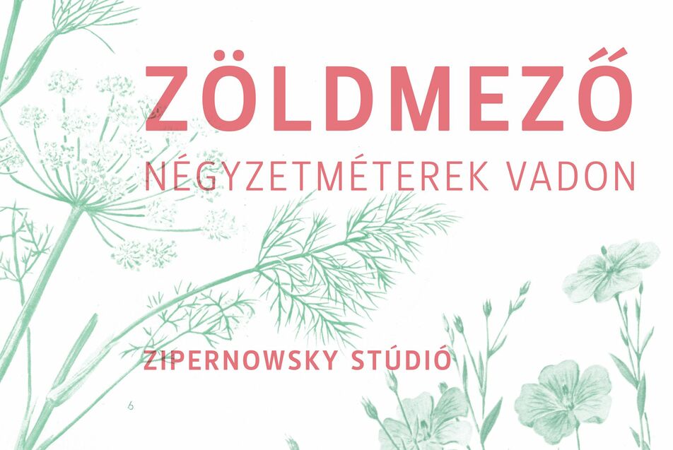 NÉGYZETMÉTEREK VADON - Kurátori vezetés a Gallery Weekend Budapest keretében