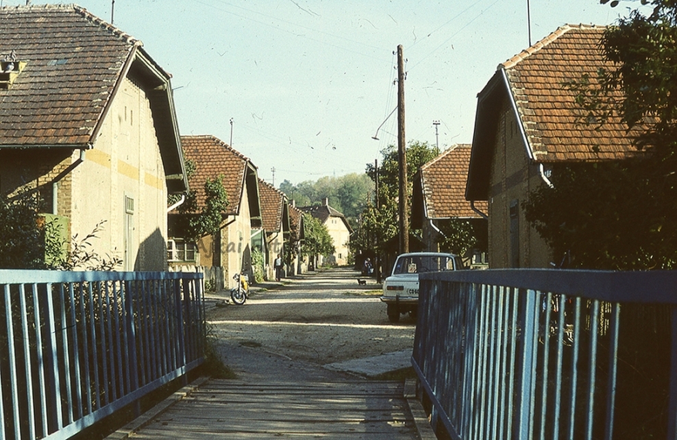 Üveggyári kolónia, / Ajkai Fotóklub