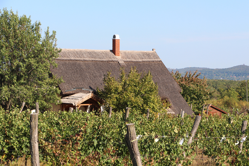 Külterületi építés a Balaton-felvidéken / Fotó: Wettstein Domonkos